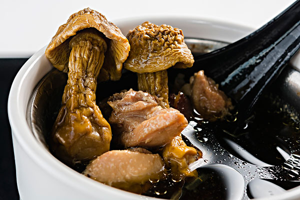 香菇老鸡汤